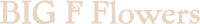 Header-logo