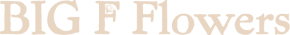Header-logo